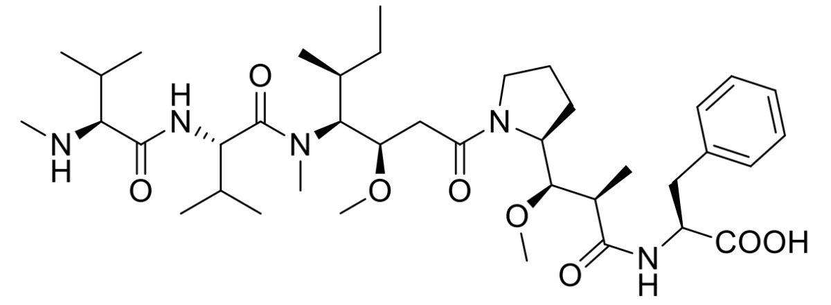 MMAF (Monomethyl Auristatin F)